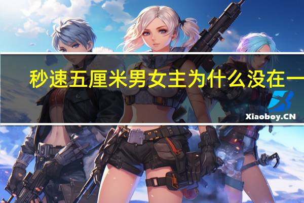 秒速五厘米男女主为什么没在一起（秒速）