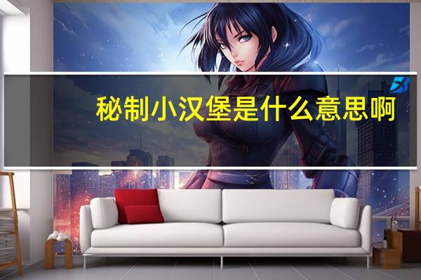 秘制小汉堡是什么意思啊