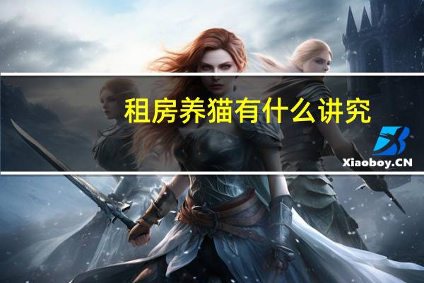 租房养猫有什么讲究