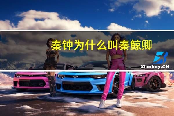 秦钟为什么叫秦鲸卿