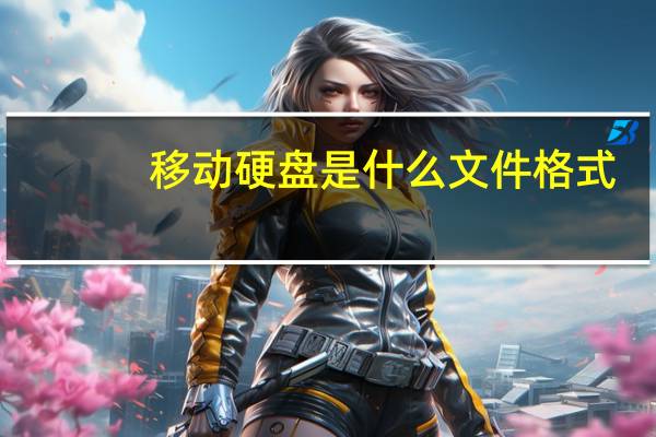 移动硬盘是什么文件格式（移动硬盘是什么）