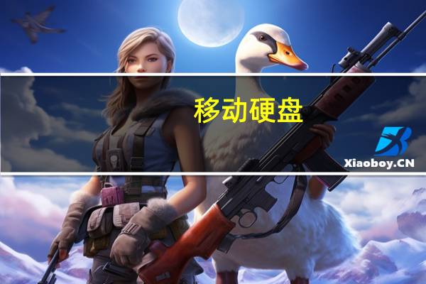 移动硬盘（分区）