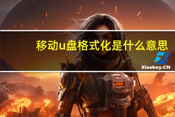 移动u盘格式化是什么意思（u盘格式化是什么意思）