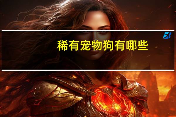 稀有宠物狗有哪些