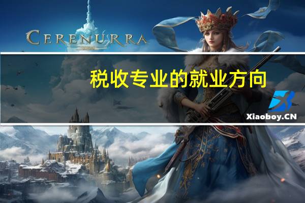 税收专业的就业方向