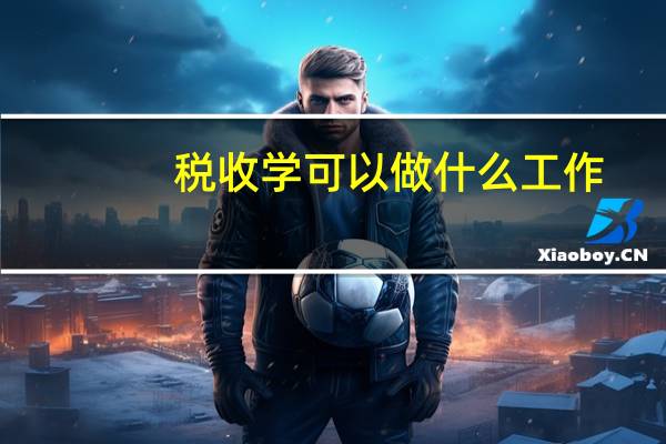 税收学可以做什么工作