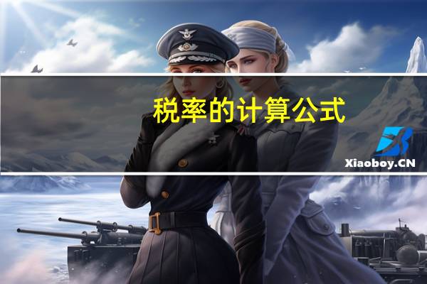 税率的计算公式（税率的计算公式）
