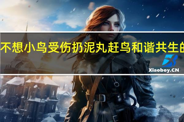 稻农不想小鸟受伤扔泥丸赶鸟 和谐共生的温情一幕