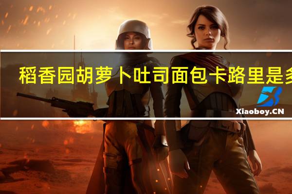 稻香园 胡萝卜吐司面包卡路里是多少