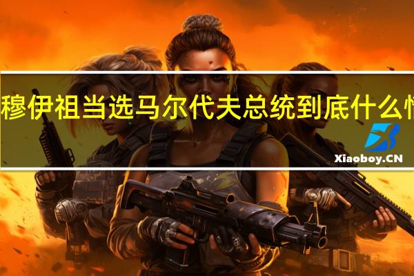 穆伊祖当选马尔代夫总统 到底什么情况嘞