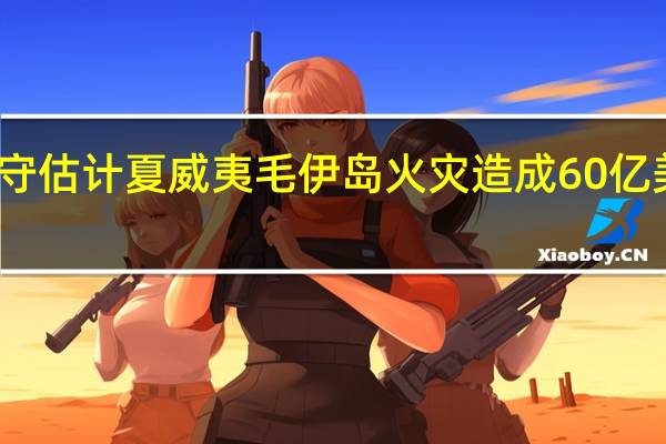 穆迪保守估计夏威夷毛伊岛火灾造成60亿美元经济损失