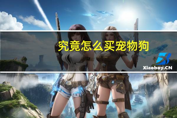 究竟怎么买宠物狗