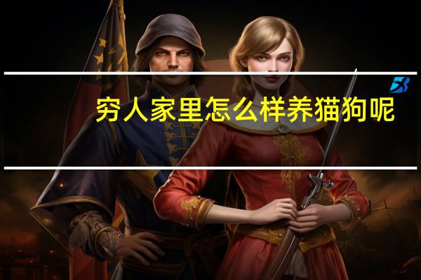 穷人家里怎么样养猫狗呢
