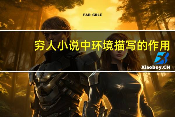 穷人小说中环境描写的作用（小说中环境描写的作用）
