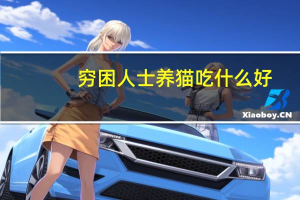 穷困人士养猫吃什么好