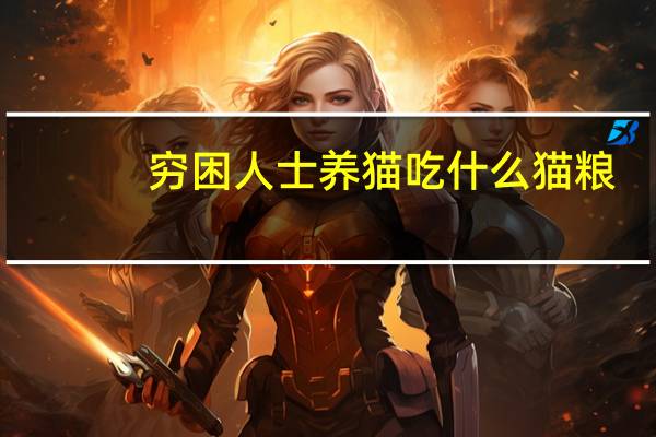 穷困人士养猫吃什么猫粮