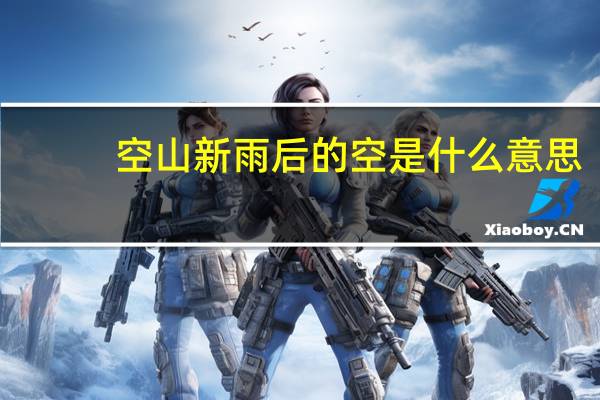 空山新雨后的空是什么意思