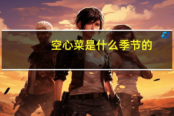 空心菜是什么季节的（空心菜的功效是什么）