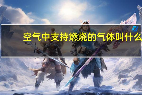空气中支持燃烧的气体叫什么