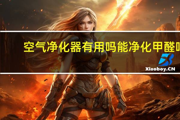 空气净化器有用吗能净化甲醛吗（空气净化器有用吗）