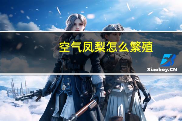空气凤梨怎么繁殖（空气凤梨对人危害）