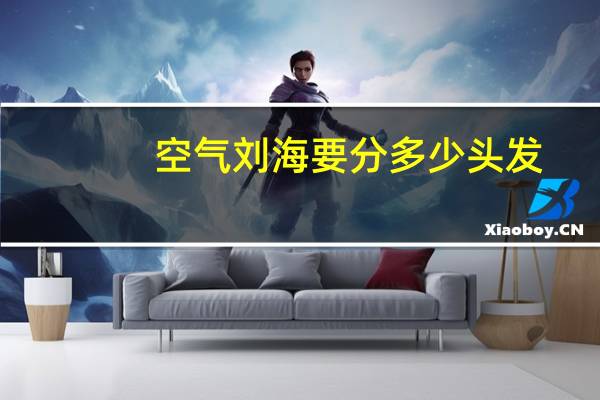 空气刘海要分多少头发