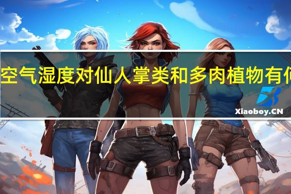 空气湿度对仙人掌类和多肉植物有何影响