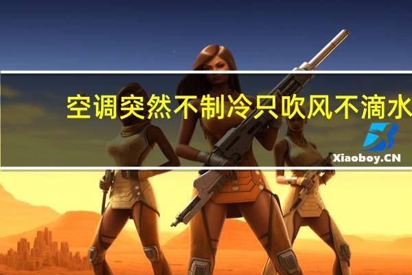 空调突然不制冷只吹风不滴水(空调突然不制冷只吹风)