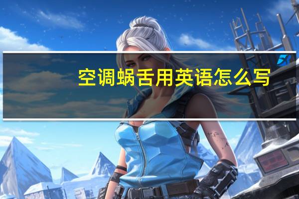 空调蜗舌用英语怎么写