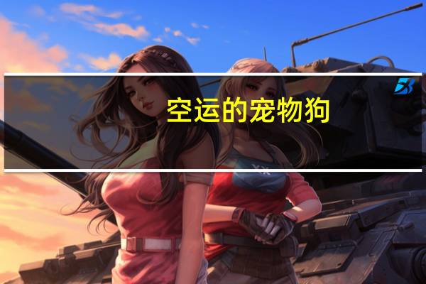 空运的宠物狗