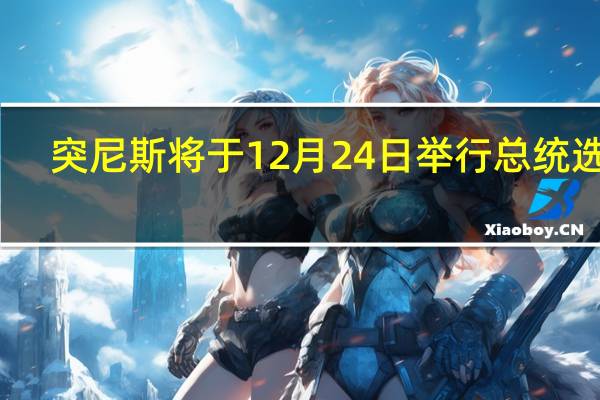 突尼斯将于12月24日举行总统选举