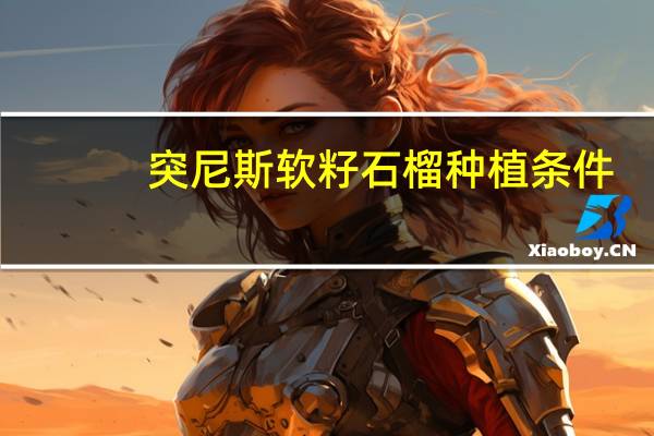 突尼斯软籽石榴种植条件