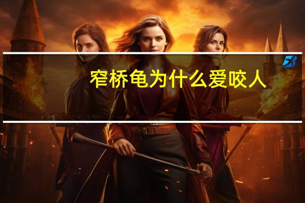 窄桥龟为什么爱咬人（窄桥龟为什么那么贵）