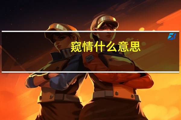 窥情什么意思