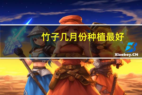 竹子几月份种植最好