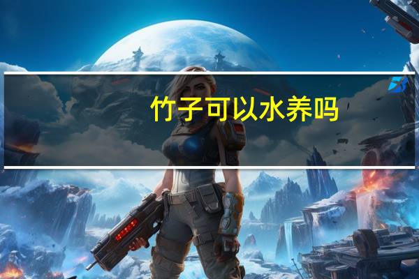 竹子可以水养吗
