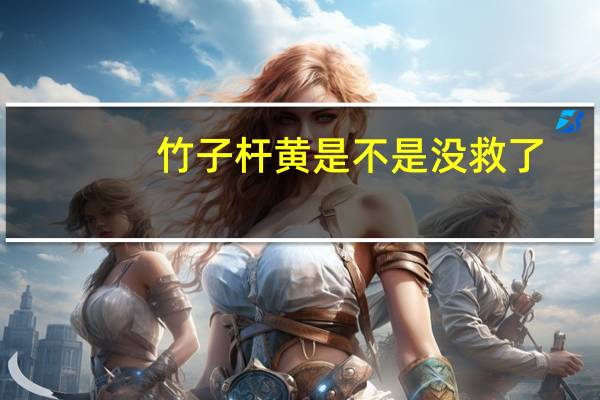 竹子杆黄是不是没救了