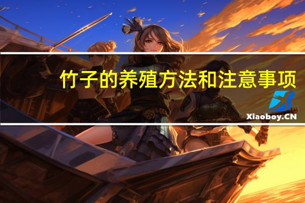 竹子的养殖方法和注意事项