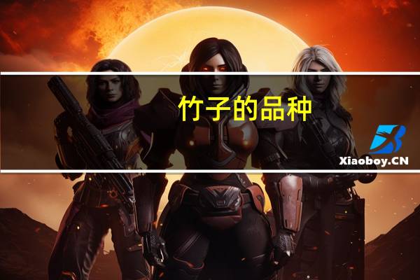 竹子的品种
