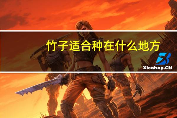 竹子适合种在什么地方