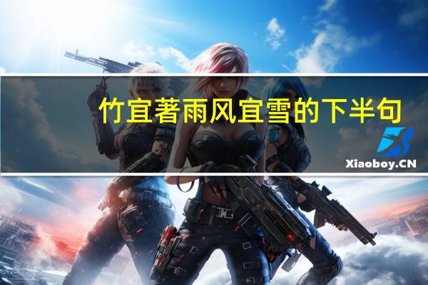 竹宜著雨风宜雪的下半句