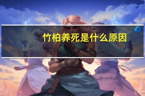 竹柏养死是什么原因
