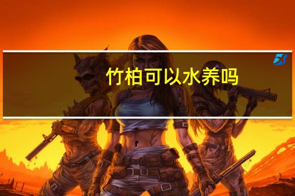 竹柏可以水养吗