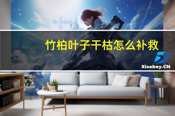 竹柏叶子干枯怎么补救