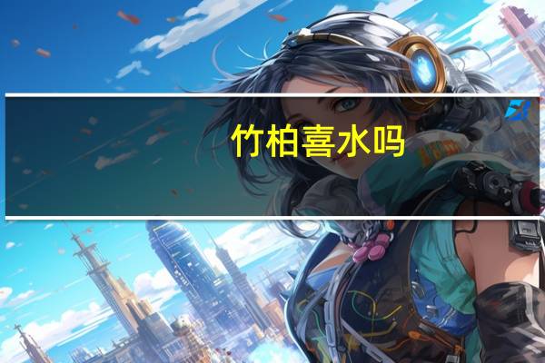 竹柏喜水吗
