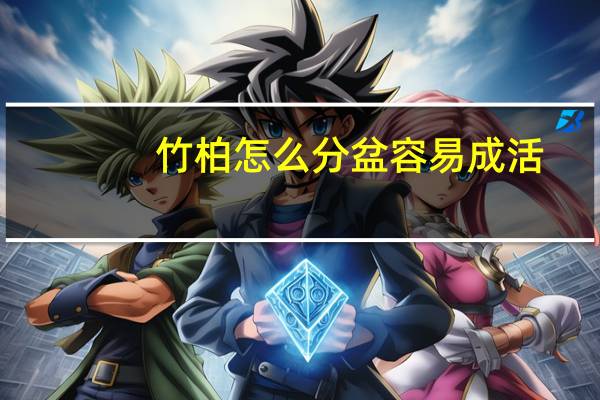 竹柏怎么分盆容易成活
