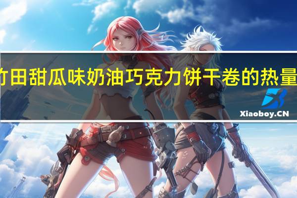 竹田 甜瓜味奶油巧克力饼干卷的热量是多少