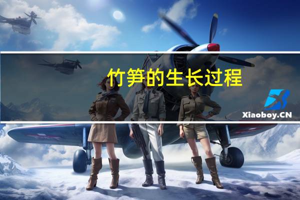 竹笋的生长过程