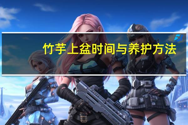 竹芋上盆时间与养护方法