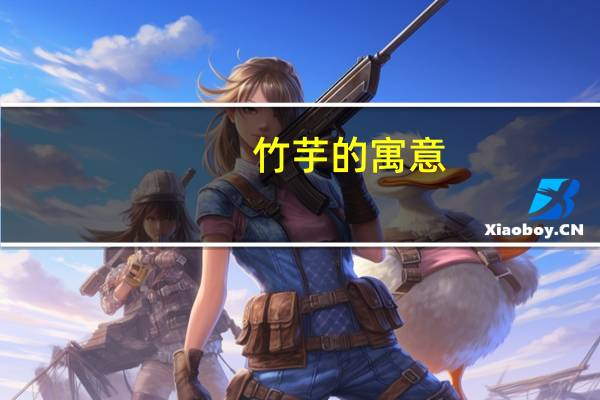 竹芋的寓意